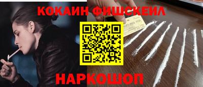 МДПВ Камышлов