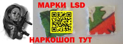 МДПВ Камышлов