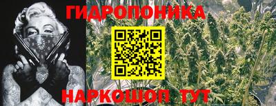 МДПВ Камышлов