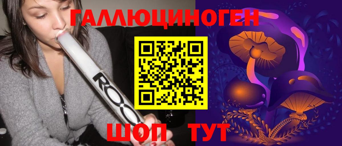 Псилоцибиновые грибы Psilocybe Истра